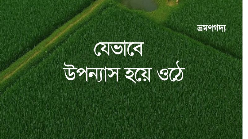 যেভাবে উপন্যাস হয়ে ওঠে