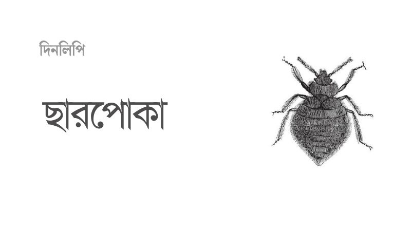 ছারপোকা
