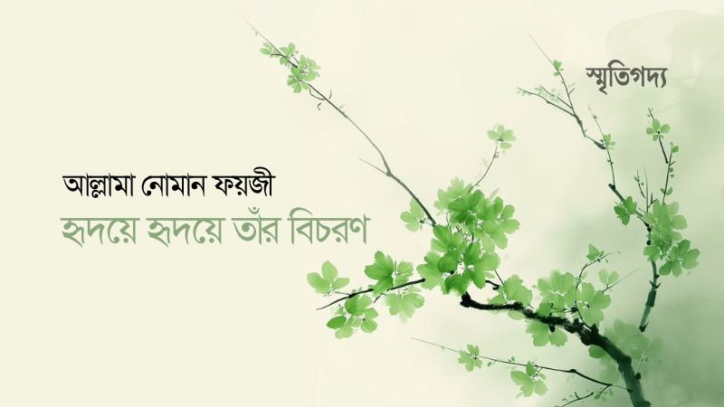 আল্লামা নোমান ফয়জী : হৃদয়ে হৃদয়ে তাঁর বিচরণ